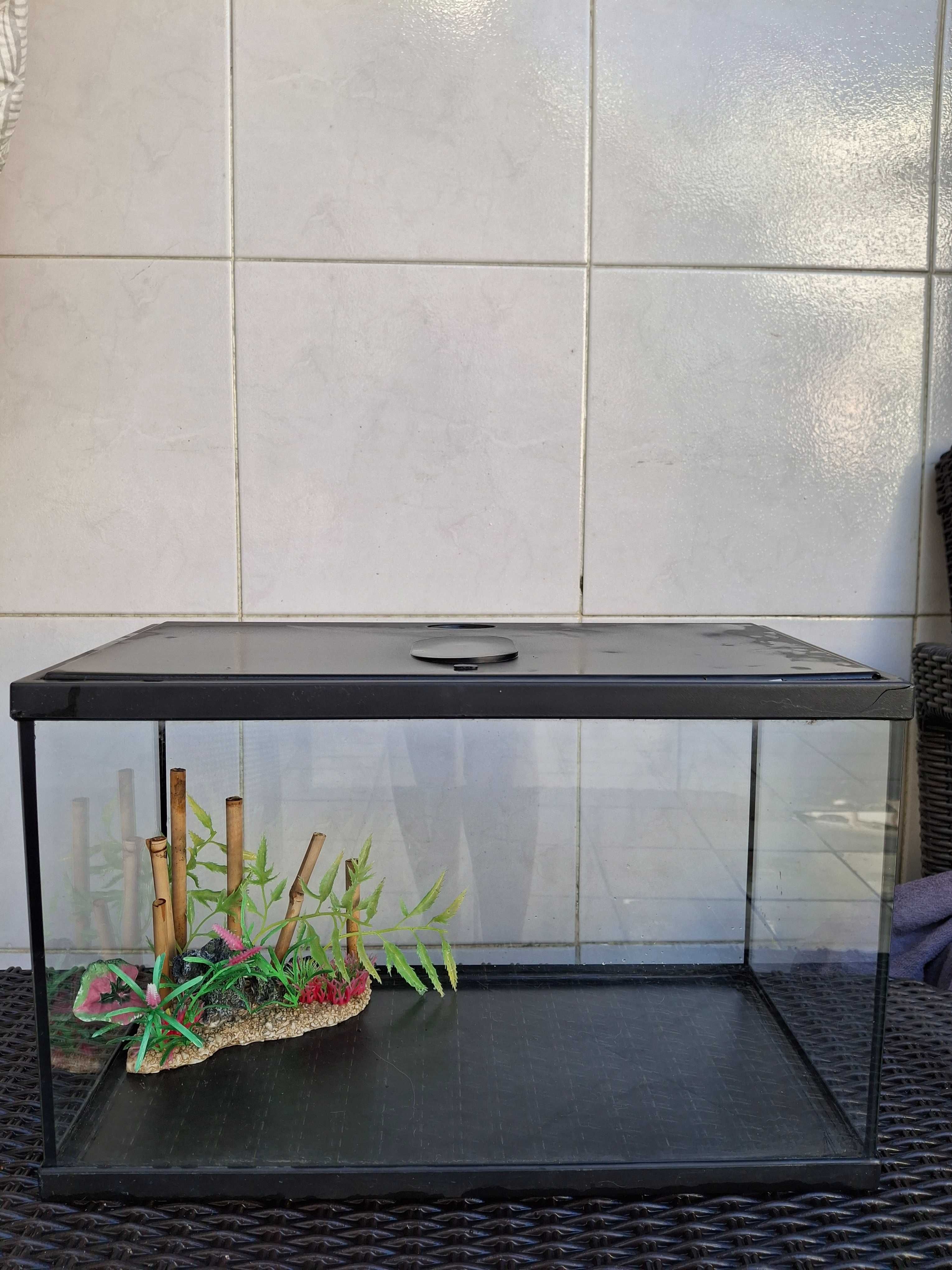 Aquário 20L 40cm×25cmx20cm
