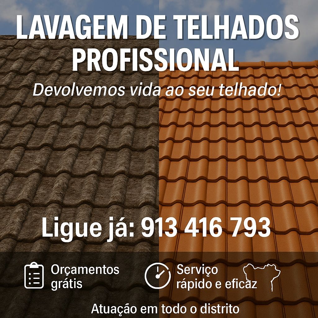 Lavagem de telhados