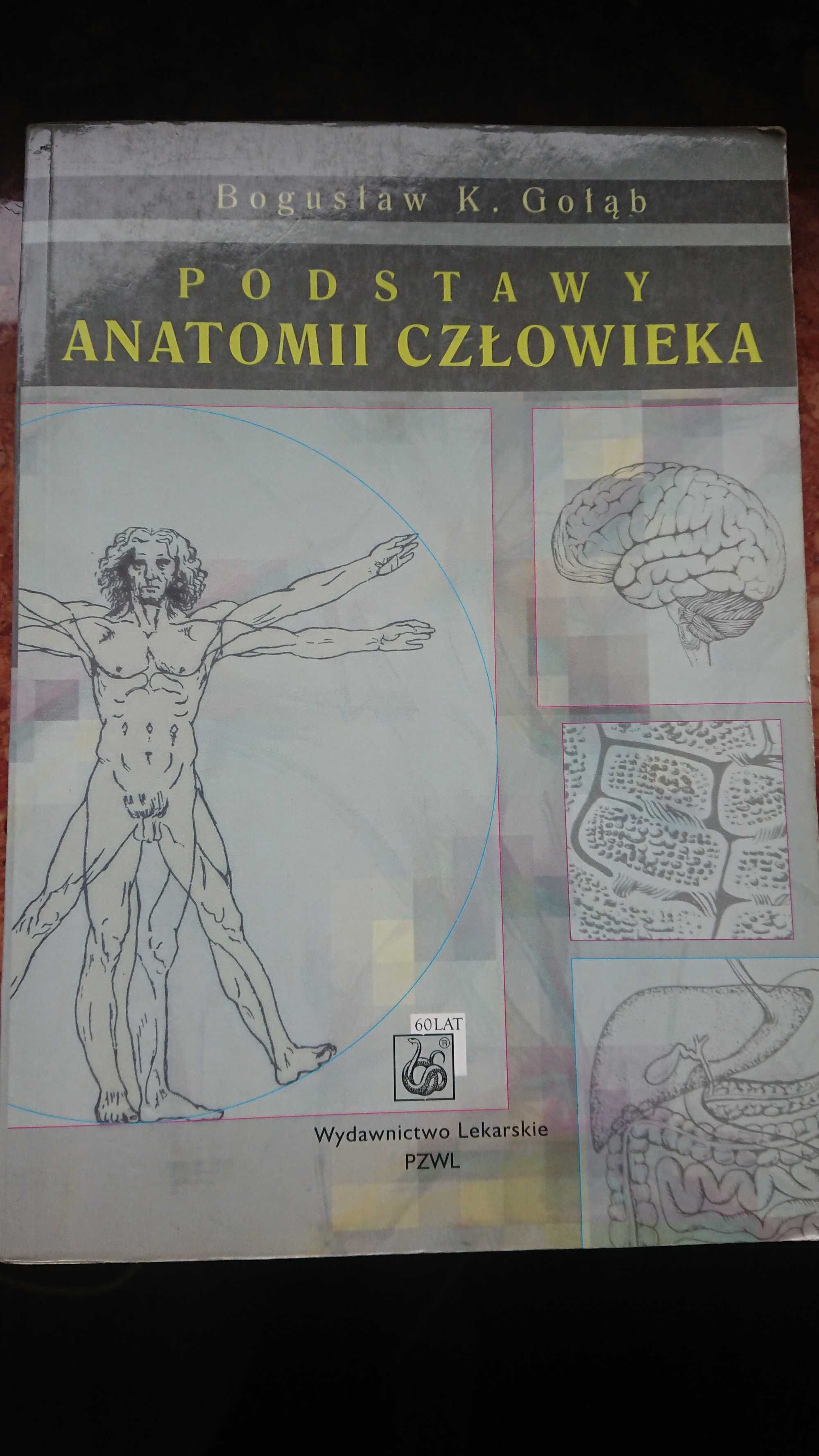 "Podstawy anatomii człowieka" Bogusław Gołąb