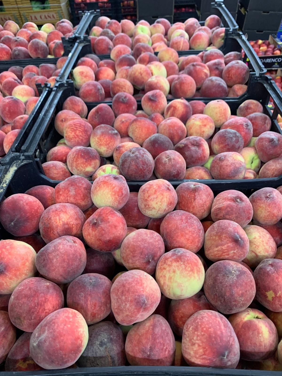 Venda trespasse Frutaria Margem sul/Goods sale Frutaria Margem Sul