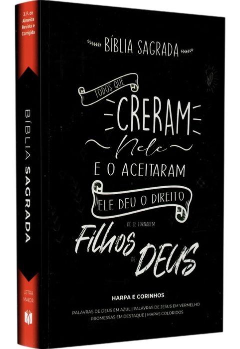 Bíblia Sagrada NOVA | NTLH | Leão do Universo | Brochura