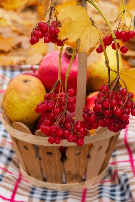 Nikon AF-S Nikkor 28-70mm f/2.8D ED IF