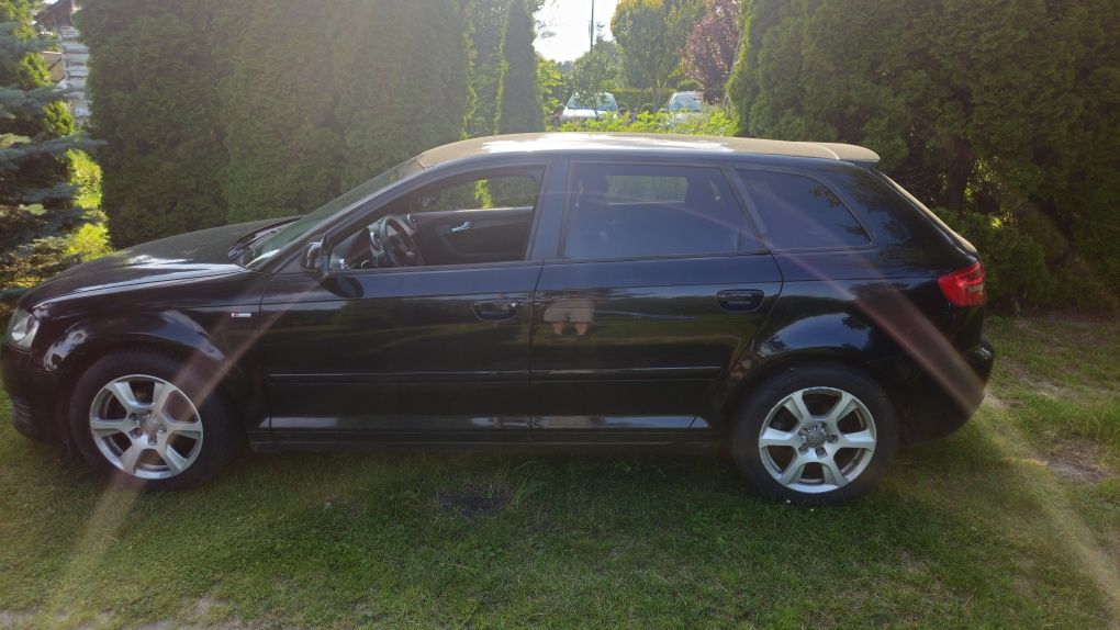 Audi A3 8P 2.0 TDI