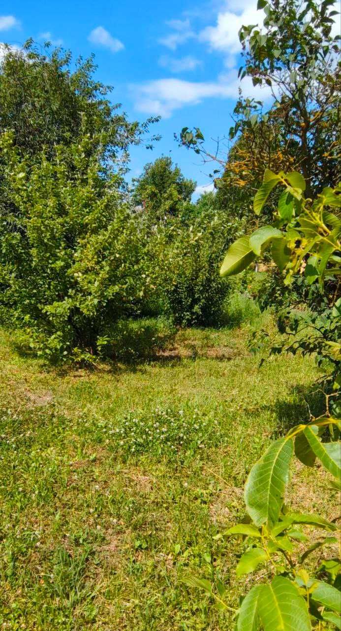 Продаж будинку в с.Синів