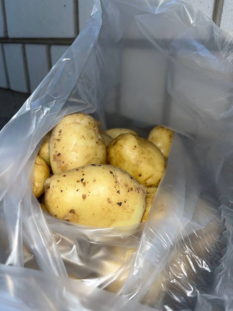 Продам картошку і буряк