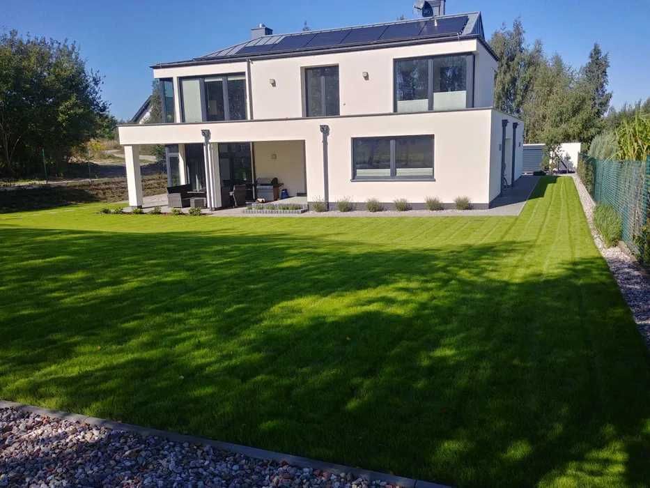 Zakładanie i pielęgnacja ogrodów, trawa z rolki, wycinka drzew.