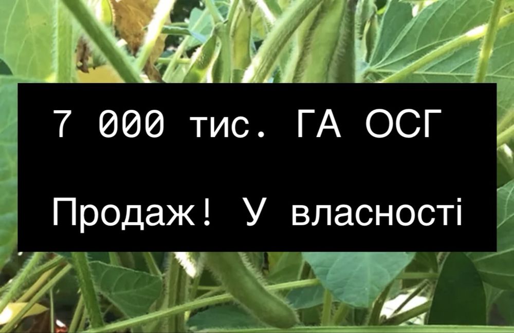 Продаж! Аграрної землі 7 000 тисяч ГА, Приватна власність