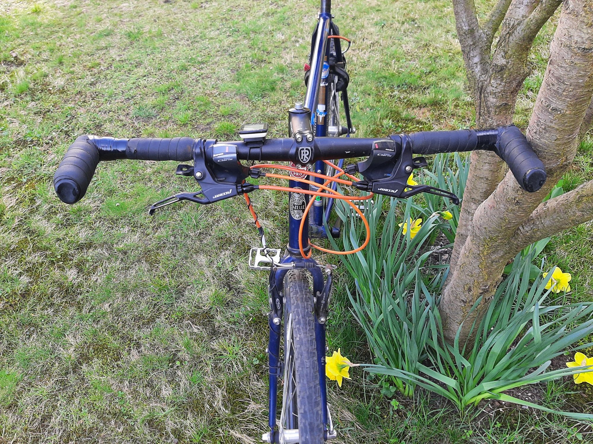 Gazelle Bahia cross