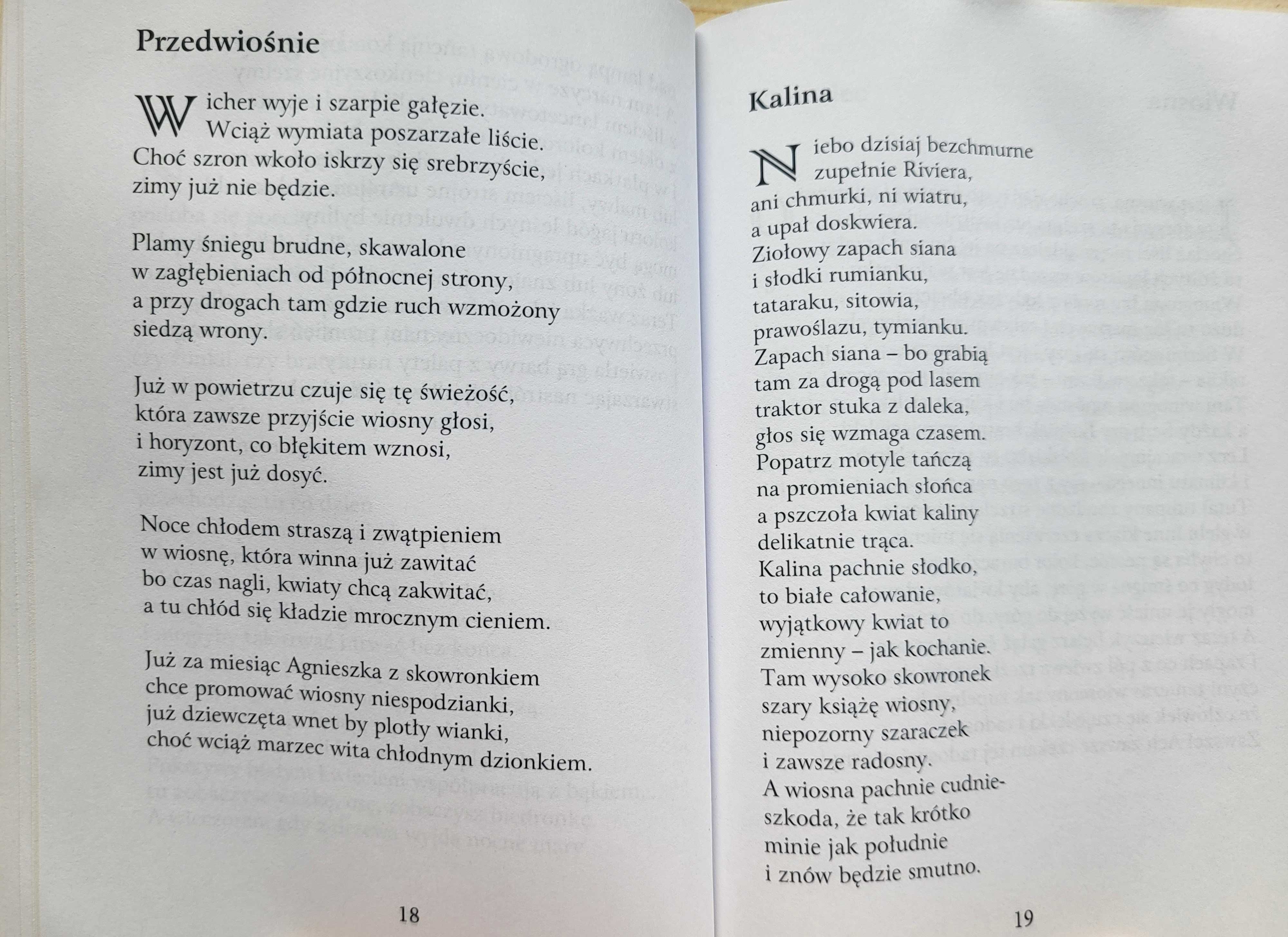 Dariusz Jaworek "Motyle" - stan B. DOBRY -UNIKAT wydawniczy- B. TANIO!