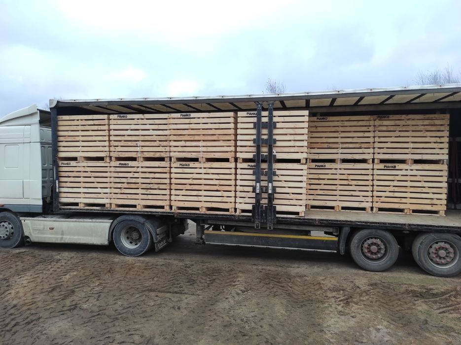SOLIDNE Skrzyniopalety Skrzynie na Warzywa Sortownie 120x100x100