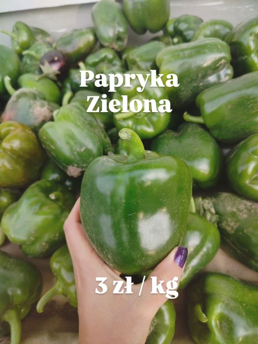 Papryka czerwona , zielona , mix