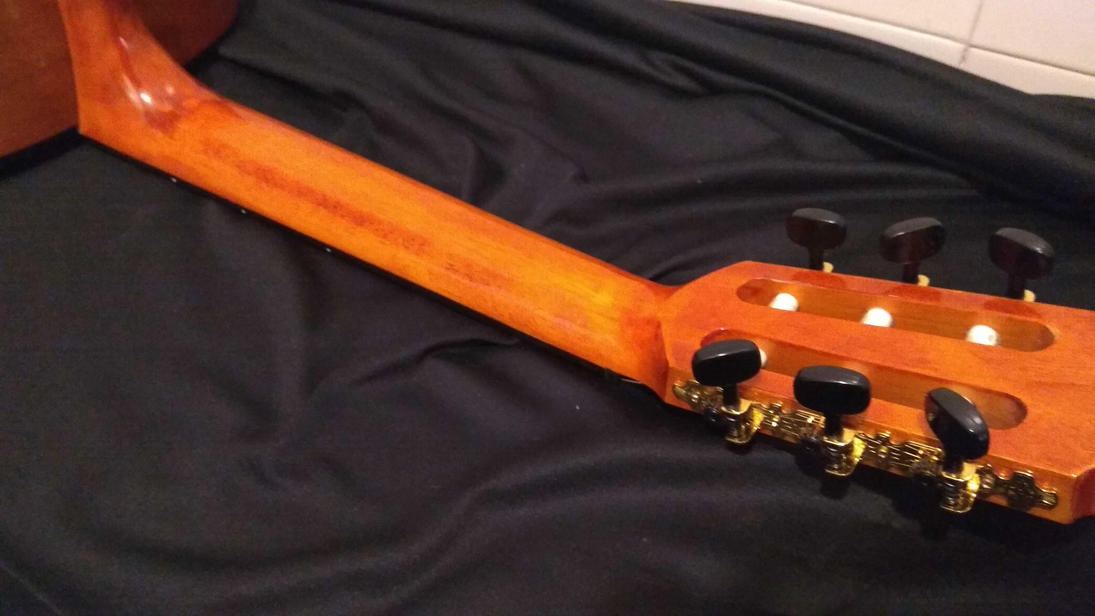 guitarra VALENCIA com trussrod