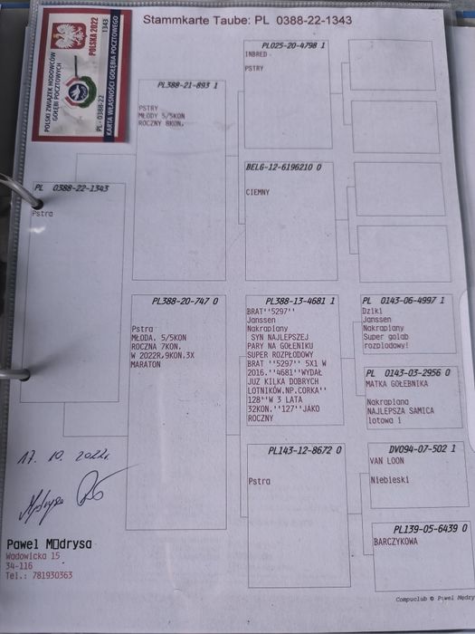 Pocztowe do rozpłodu