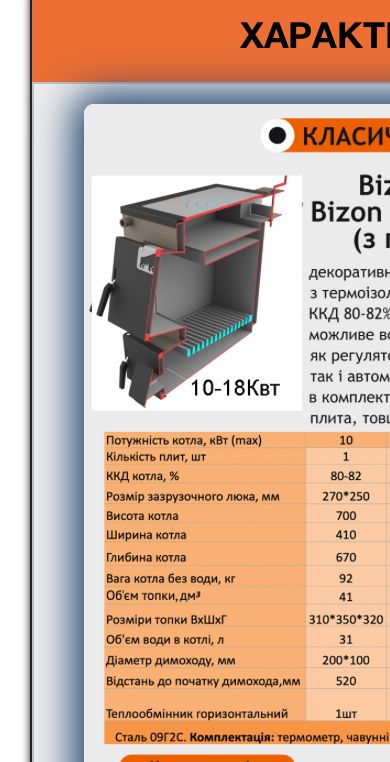 Твердопаливний котел Bizon M100П 10кВт «НОВИЙ»