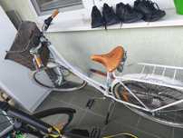 Damski Rower Virginia 3 rama L