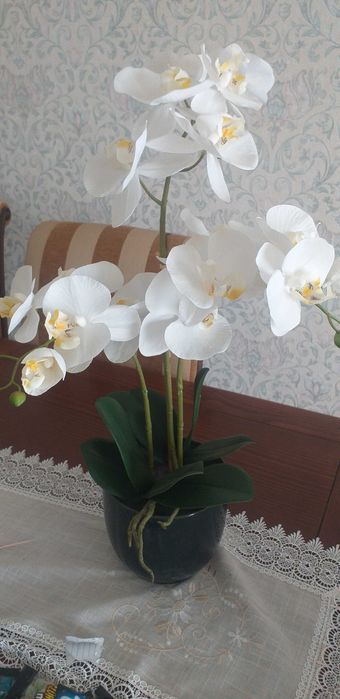 Orquídeas artificoais