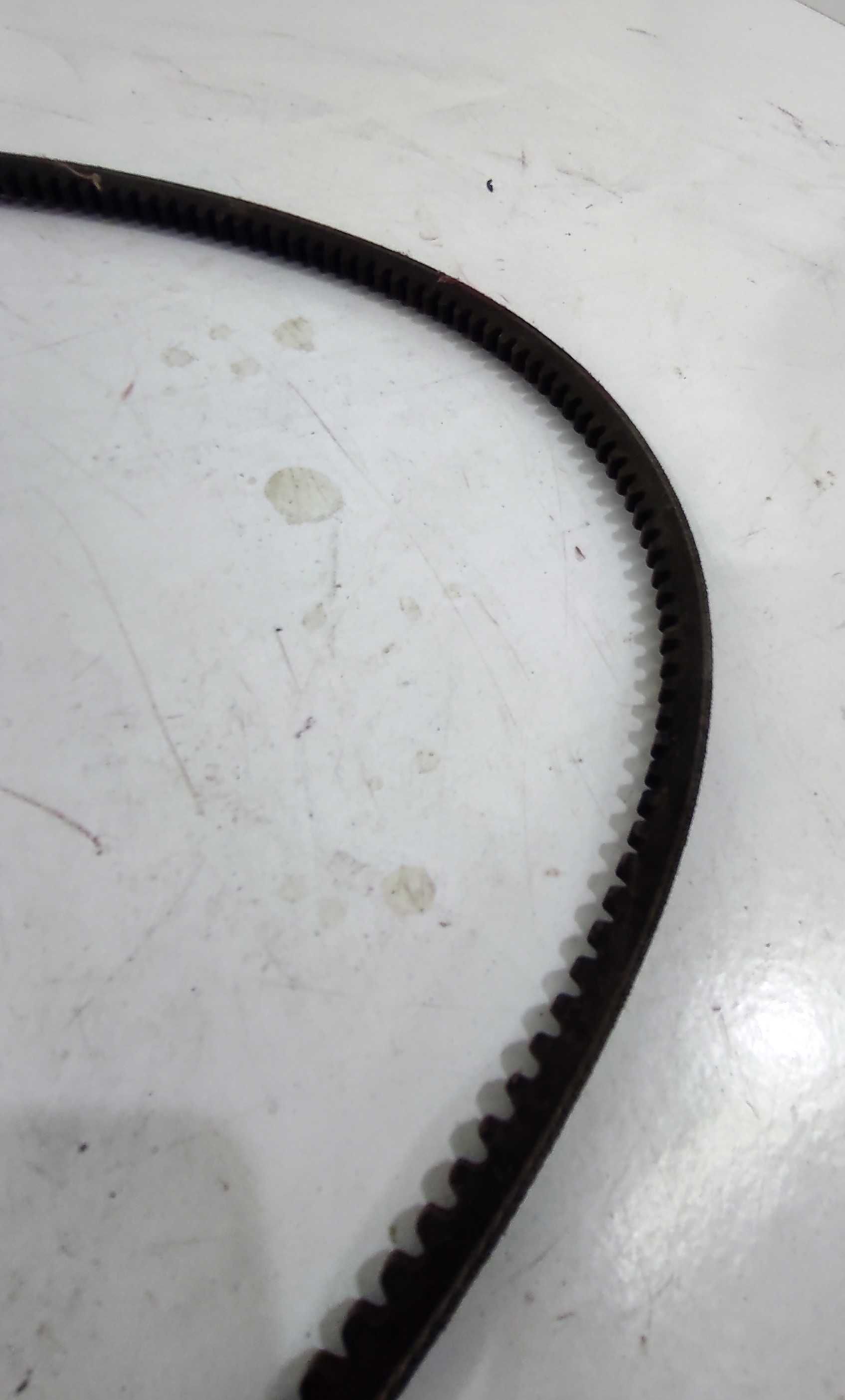 Pas pasek klinowy zębaty Massey Ferguson D419900.19 MF Cerea