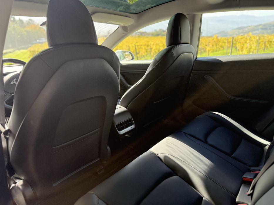 Tesla Model 3 Perfomance