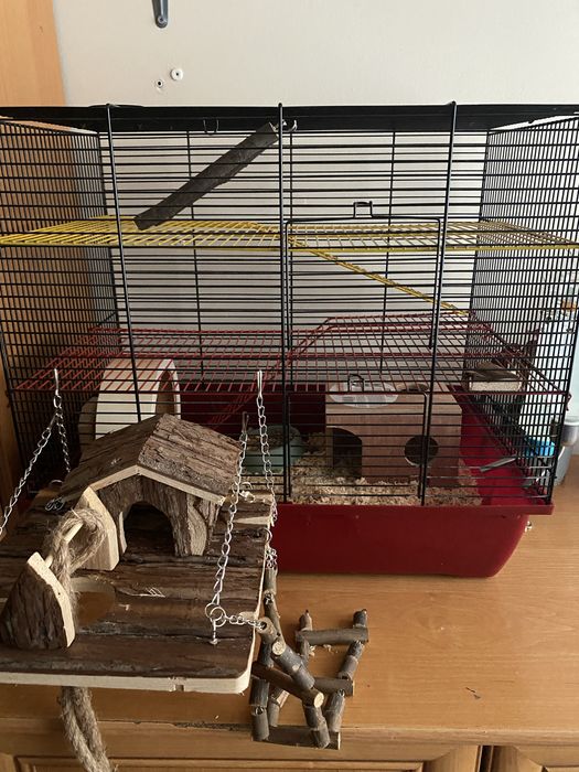 Klatka dla chomika