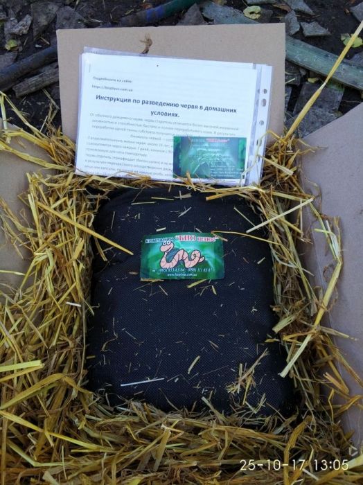 Хробаки для риболовлі та виробництва біогумусу