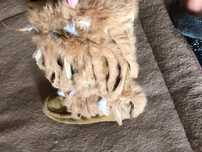 Indiańskie fantastyczne buty saszki Naughty Monkey Odjazdowe! Stylowe!