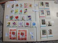 zestaw 29szt. znaczki pełne serie margines Polska 1965 /1989r. KWIATY