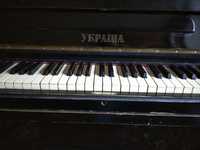 Пианино черное Украина