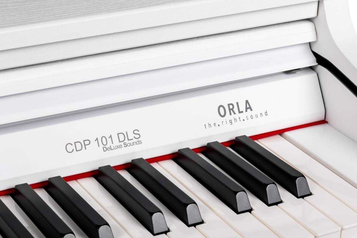 Nowe Pianino Cyfrowe ORLA CDP101 SW