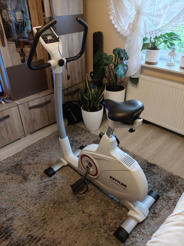Rower, rowerek stacjonarny Kettler Ergometr E1