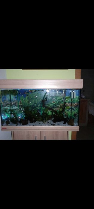 Aquário com móvel 126lt