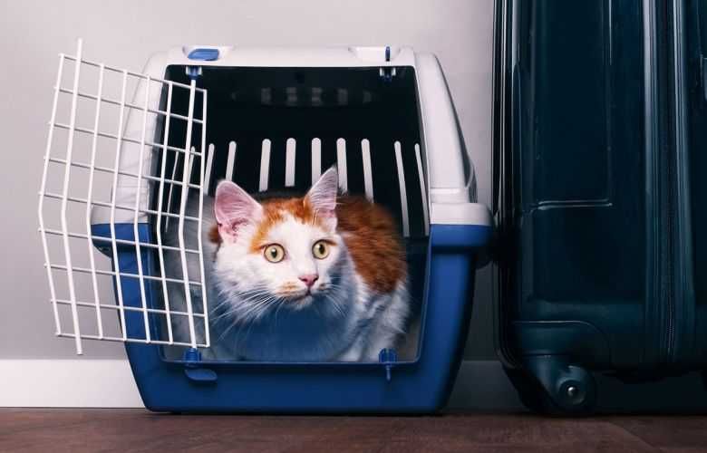 Transportadora para animais de estimação Zephos NOVA