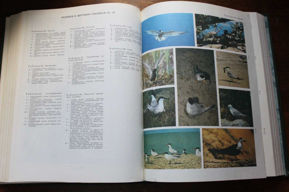 Книги = разная тематика
