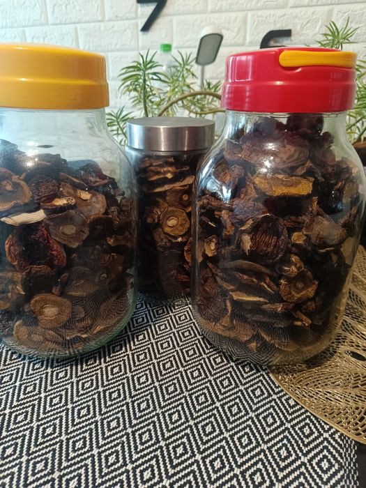 Suszone podgrzybki całe kapelusze