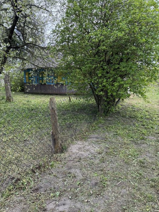 Продаю земельну ділянку з будинком с. Штунь Волинської області