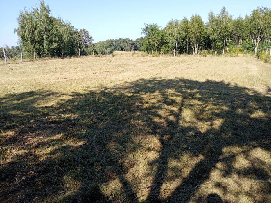 Koszenie|Wykaszanie|Mulczowanie Działek i Nieużytków|Kosiarka Bijakowa