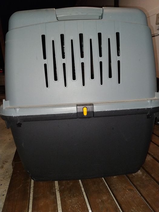 Box cão de porte médio grande