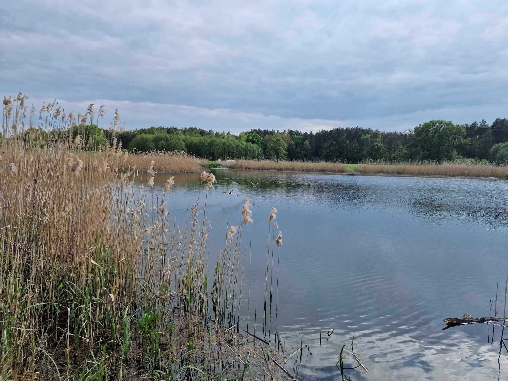Działka nad  rzeką