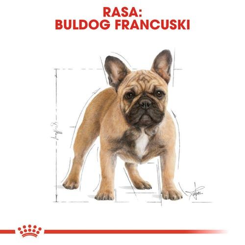 Royal 255220 French Bulldog Adult 3kg