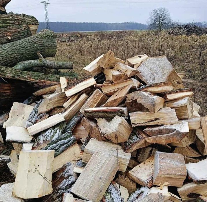 Drewno opałowe Topola