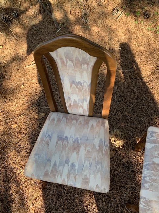 Cadeiras almofadadas conjunto 6