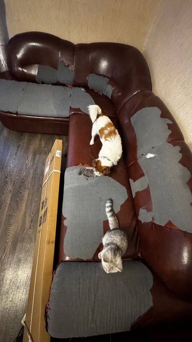 Безкоштовно Диван самовивіз Ірпінь