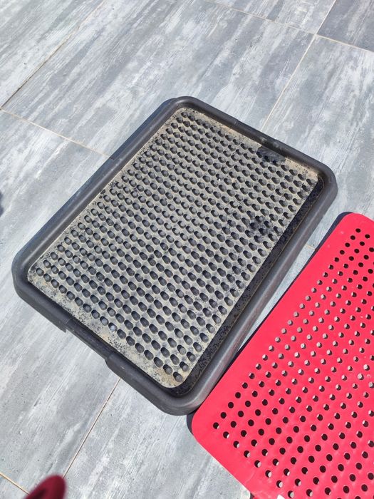 Tabuleiro de treino de chichi para cachorrinho