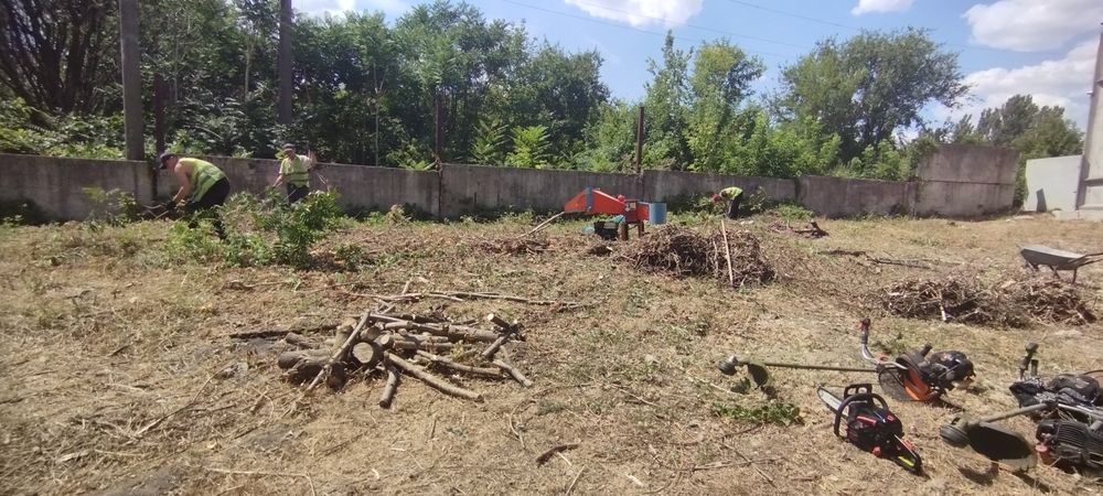 Покос травы,уборка участка,демонтаж ,вывоз веток,дробление веток,спил
