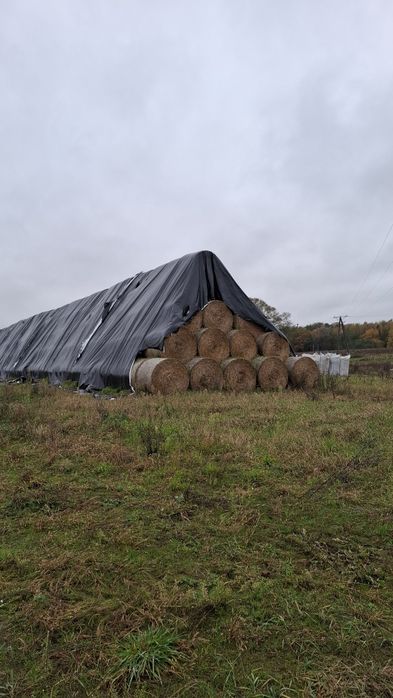 Słoma pszenżytnia i owsiana