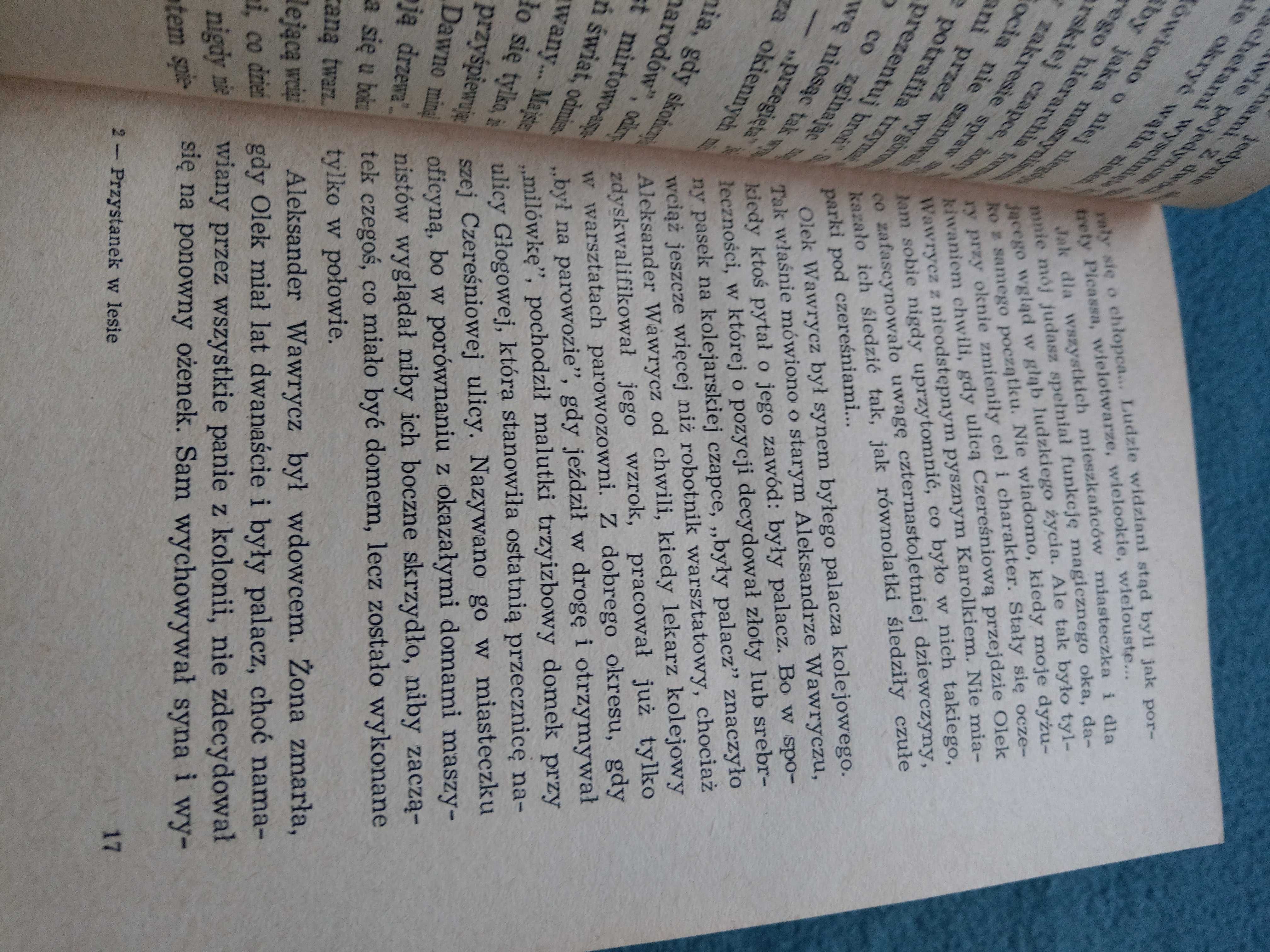 "Przystanek w lesie" Zofia Posmysz