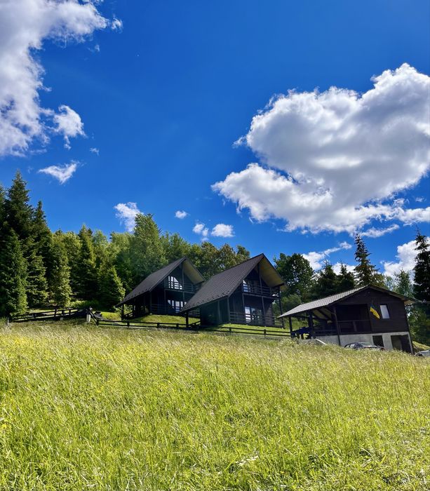 Котеджі «Шепіт лісу»