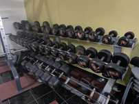 Alteres e barras de musculação