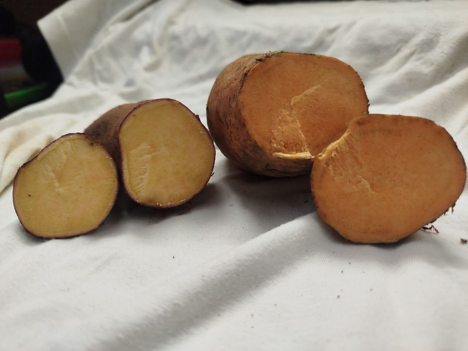 Batata doce 0.70 €  a laranja a 0.80€