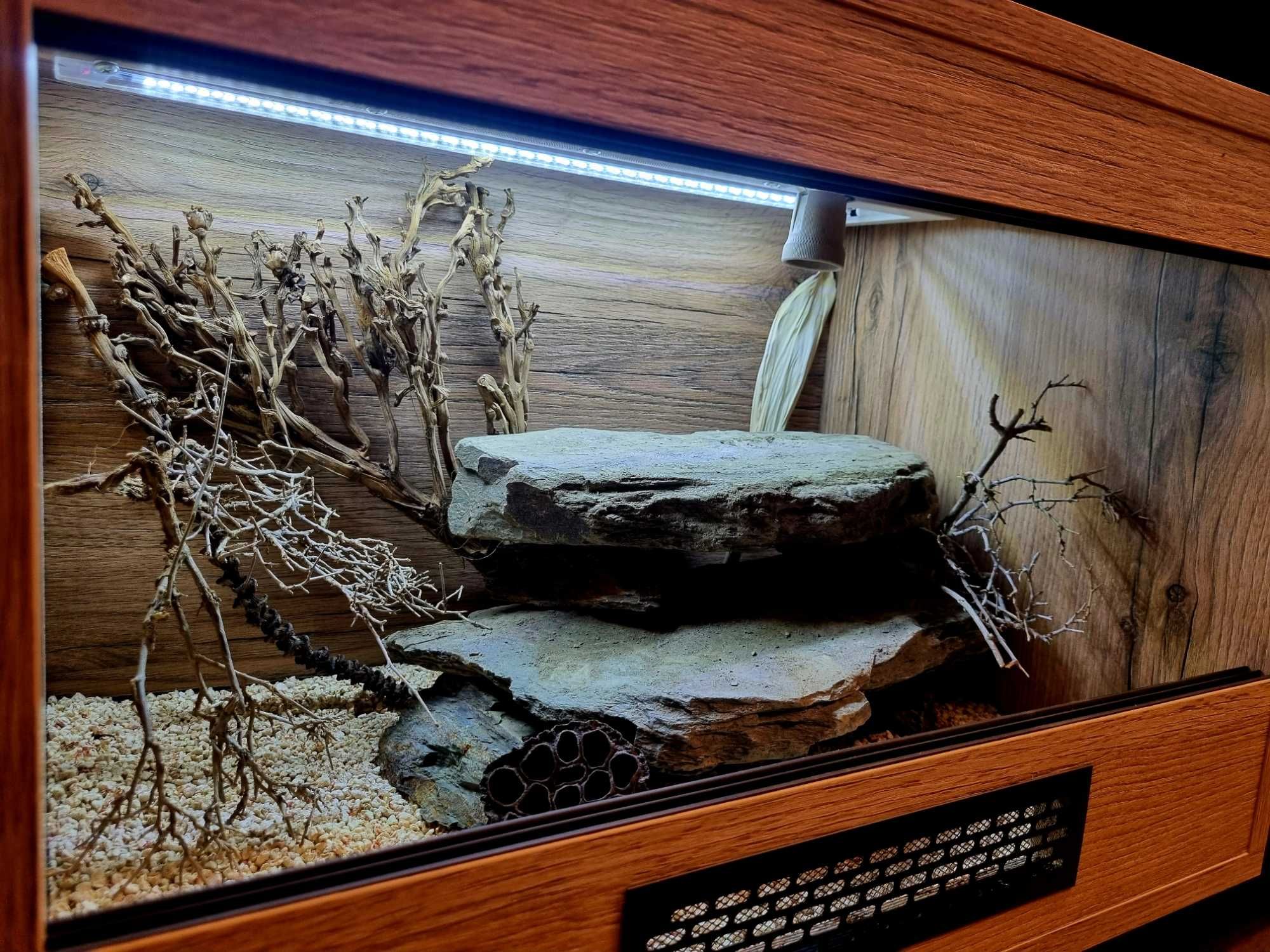 Terrarium 60x40x40 gekon lamparci jaszczurka