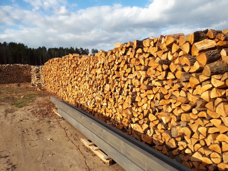 SUCHE Drewno Akacja Dąb Buk Grab Sosna